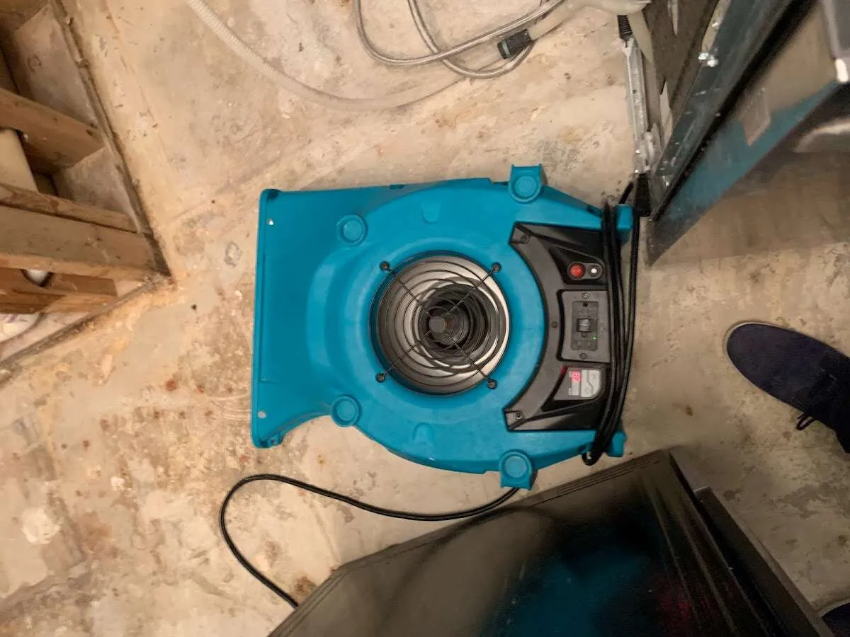 Air mover drying equipment for Mold Remediation & Removal in Bolingbrook